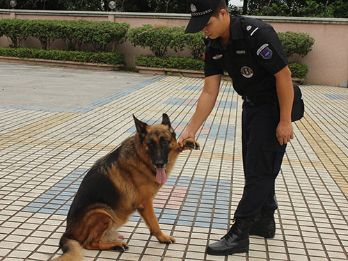 東莞護衛(wèi)訓練